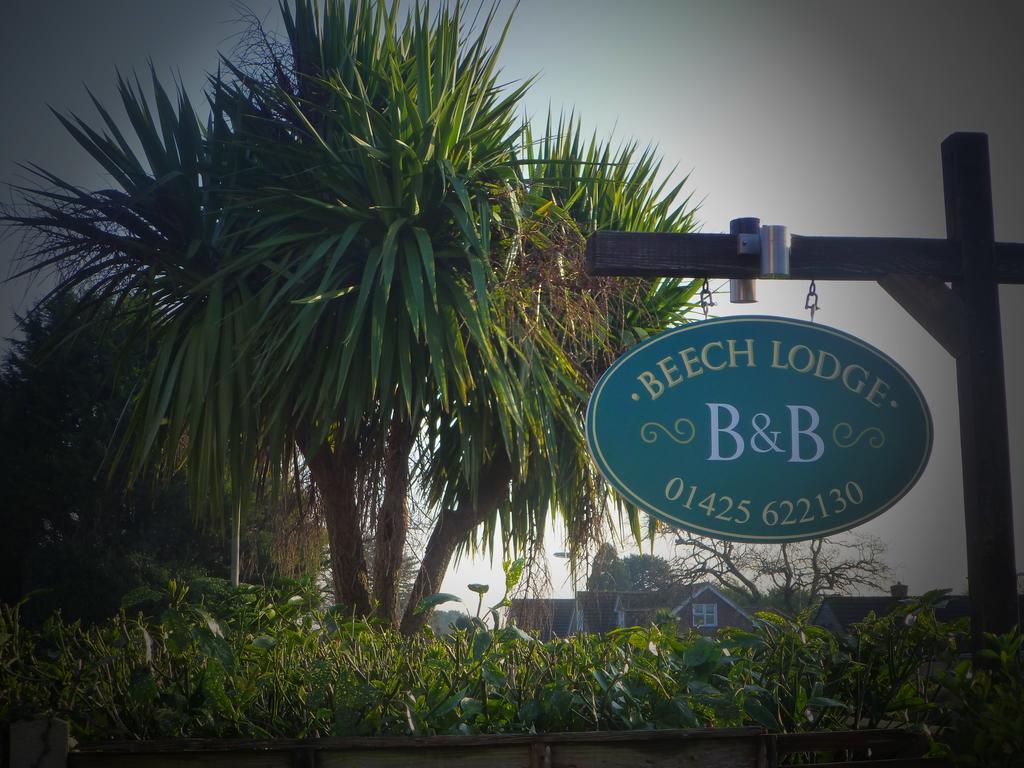 Beech Lodge Guest House Нью Милтон Экстерьер фото